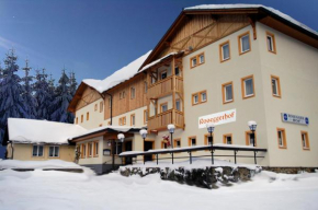Гостиница Roseggerhof  Санкт-Катрайн-Ам-Хауэнштайн